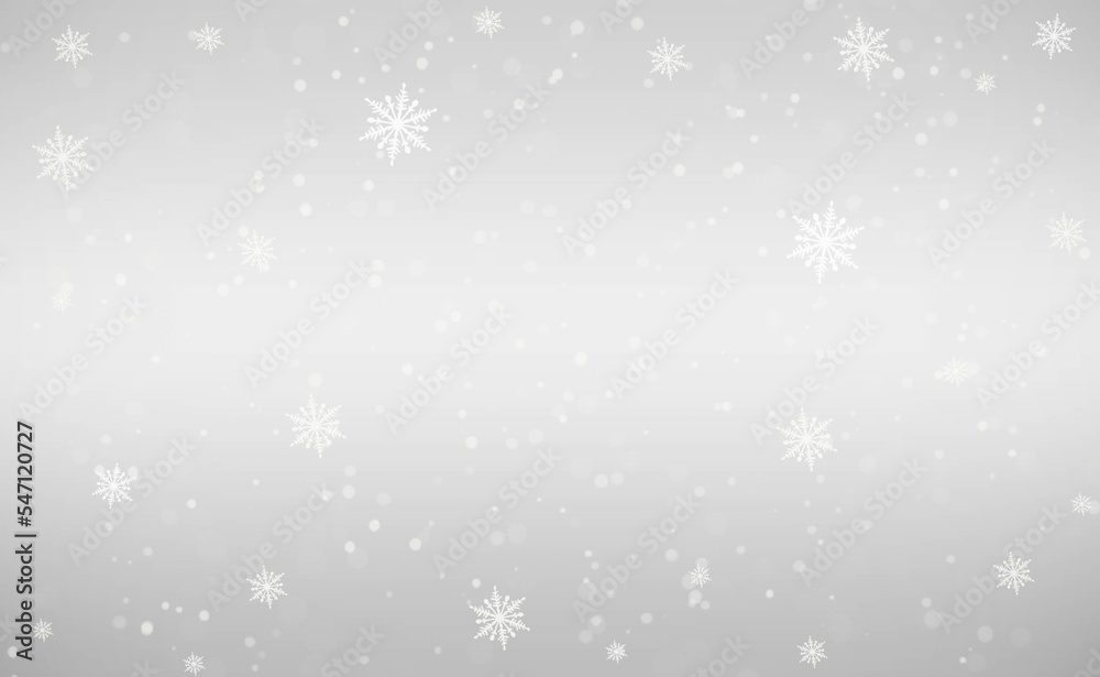 Snow gray background. Christmas snowy winter design. Blurred background