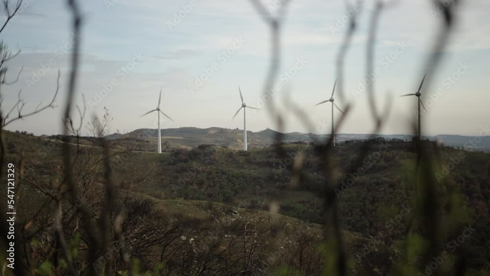 In the foreground, blurry branches and in the background, windmills working at energy field in the mountain In the foreground, blurry branches and in the background, windmills working at energy field in the mountain