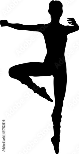 Dancing Ballet Dancer Silho...