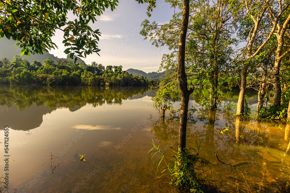 goNatural background of a large reservoir in Krabi,Thailand(Nong Thale)atmosphere surrounded by mountains,trees of various sizes, blown through the wind,blurred cool during the day,a viewpoint of trav goNatural background of a large reservoir in Krabi,Thailand(Nong Thale)atmosphere surrounded by mountains,trees of various sizes, blown through the wind,blurred cool during the day,a viewpoint of trav