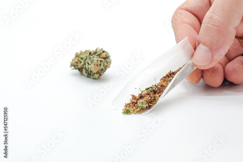 hand holding marijuana or weed joint isolated on white background