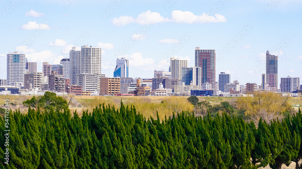 Fototapeta premium 快晴の荒川土手から対岸の川口市都市風景