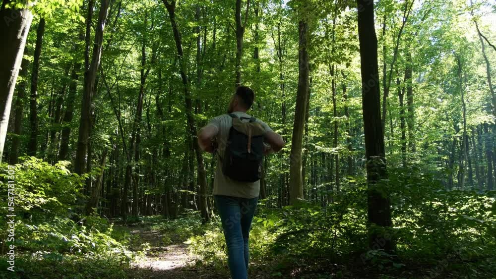 Unity with nature. Camera following after man walking in forest on sunny day, back view Unity with nature. Camera following after man walking in forest on sunny day, back view