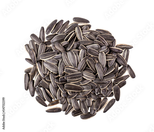 sunflower seeds isolated on transparent png photo
