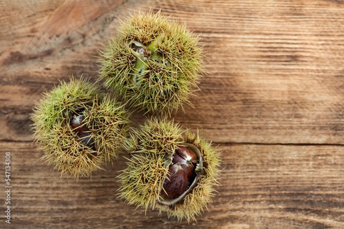 Sweet chestnut fruit. Castanea sativa. Close-up
Fresh fallen sweet chestnuts  on wooden background from above, with copy space for tex.t
