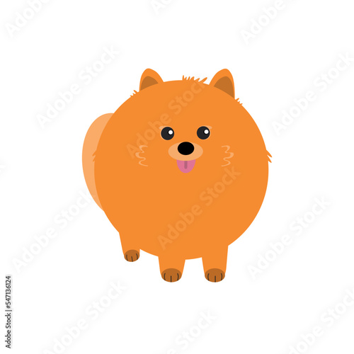 Cute pomeranian dog, cartoon-style vector illustration. Funny round red pomeranian spitz puppy icon isolated on white background.