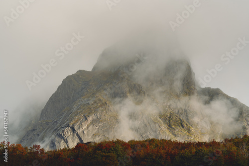 Berg und Wald im Nebel photo