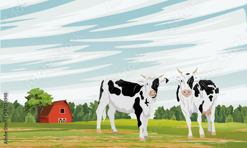 Two spotted cows in a pasture near a large barn. Farm and farm animals. Realistic vector landscape