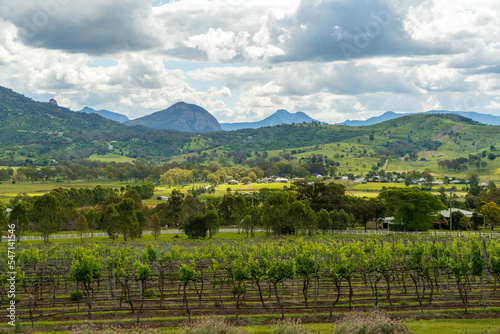 View over vineyard across countryside to the mountains, under a cloudy sky. Mount Alford, Scenic Rim, Queensland, Australia.  photo