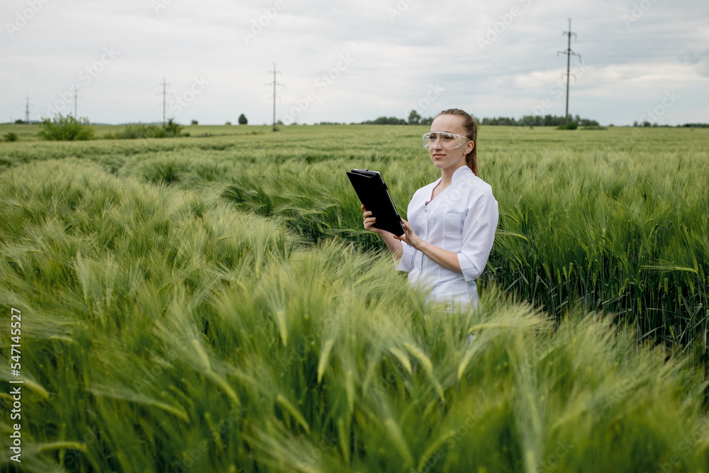 Young woman farmer wearing white bathrobe is checking harvest progress on a tablet at the green wheat field. New crop of wheat is growing. Agricultural and farm concept. Young woman farmer wearing white bathrobe is checking harvest progress on a tablet at the green wheat field. New crop of wheat is growing. Agricultural and farm concept.