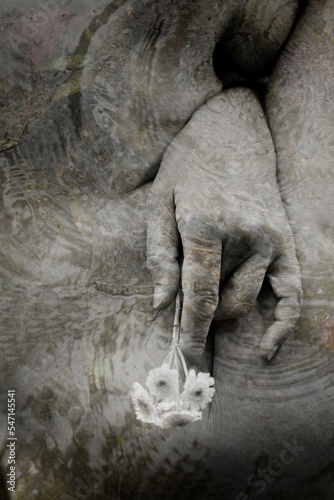 hand with white flower between female body IV © livcool