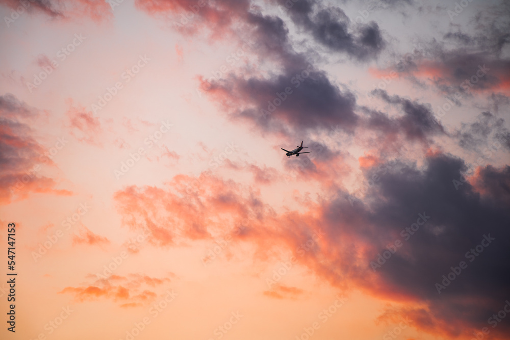 Fototapeta premium A plane flying in the sky during a colorful sunset