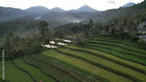 Bali, Indonesia - November 13, 2022: The Jatiluwih and Sidemen Terrace Rice Fields