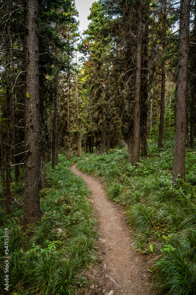 Beginning of Pitamakan Pass Trail Leaving Cut Bank Beginning of Pitamakan Pass Trail Leaving Cut Bank