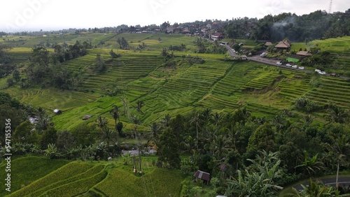 Bali  Indonesia - November 13  2022  The Jatiluwih and Sidemen Terrace Rice Fields