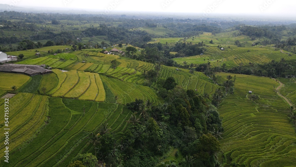 Bali, Indonesia - November 13, 2022: The Jatiluwih and Sidemen Terrace Rice Fields