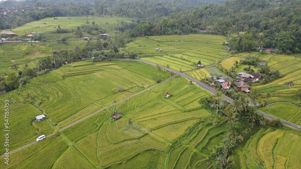 Bali, Indonesia - November 13, 2022: The Jatiluwih and Sidemen Terrace Rice Fields