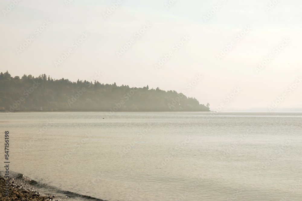 Hill filled with trees off the side of the water at Second Beach in Stanley Park on a foggy day