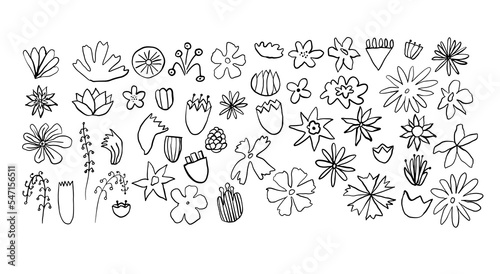 Black abstract doodle set of floral shapes, hand-drawn scandinavian flower illustrations on white background