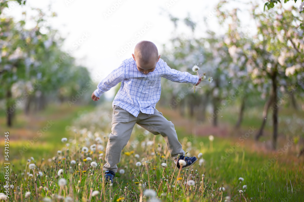 A happy child in a blooming spring garden plays, jumps, he is in a good mood. A happy child in a blooming spring garden plays, jumps, he is in a good mood.