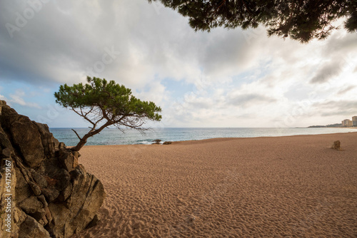 Fototapeta Naklejka Na Ścianę i Meble -  Paisaje de la costa mediterrania en playa d'aro en la costa brava con oceano azul precioso.