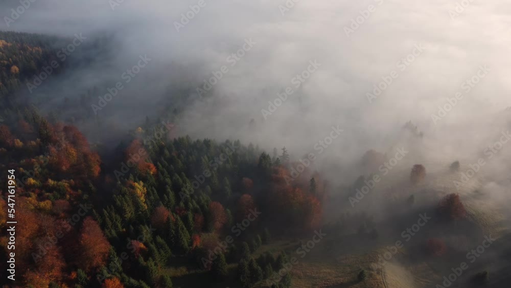 Aerial view of  morning landscape over the foggy forest, in the Carpathian Mountains, during autumn