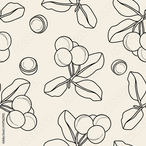 Line art tamanu branch seamless pattern photo