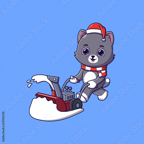 cute cat removing snow with snowblower