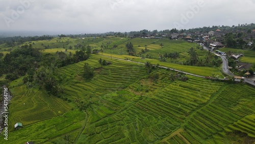 Bali  Indonesia - November 13  2022  The Jatiluwih and Sidemen Terrace Rice Fields