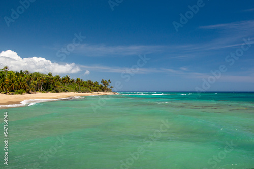 Tropical beach with palm trees and crystal clear water at Perla Marina beach  Cabarete  Dominican Republic