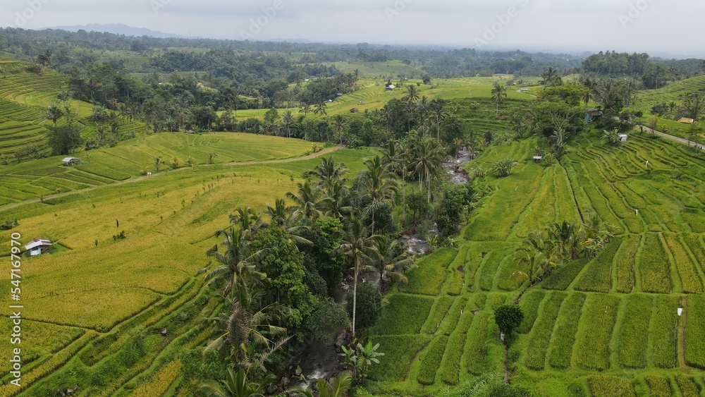 Bali, Indonesia - November 13, 2022: The Jatiluwih and Sidemen Terrace Rice Fields