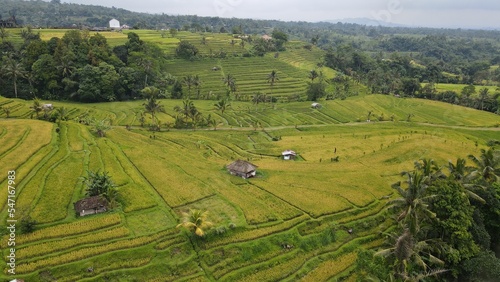 Bali  Indonesia - November 13  2022  The Jatiluwih and Sidemen Terrace Rice Fields