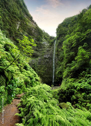 Madeira - Beautiful waterfall in the end of Levada Caldeirao Verde, green rain forest jungle photo