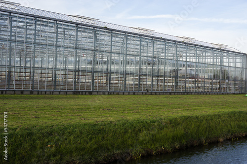 Glass greenhouse for growing flowers in the Netherlands © photosis