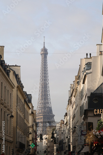 The view of the Eiffel tower from Parisian streets, France © nastyakamysheva