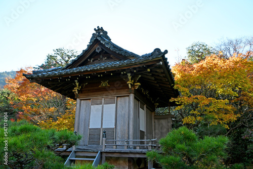 京都 大河内山荘庭園  © maaagram