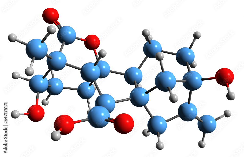 3D image of Gibberellin A1 skeletal formula - molecular chemical structure of plant hormone isolated on white background 3D image of Gibberellin A1 skeletal formula - molecular chemical structure of plant hormone isolated on white background