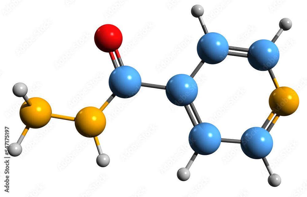 3D image of Nicotinic hydrazide skeletal formula - molecular chemical structure of inhibitor of peroxidase enzyme isolated on white background 3D image of Nicotinic hydrazide skeletal formula - molecular chemical structure of inhibitor of peroxidase enzyme isolated on white background