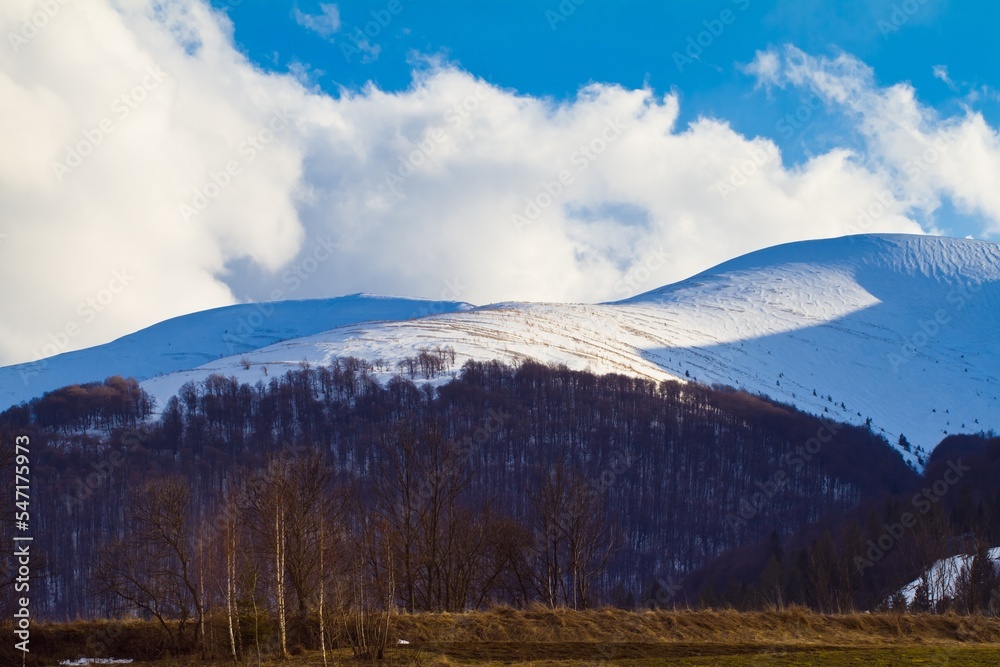 winter countryside of mountain valley, coniferous and deciduous forest in Carpathian Mountains, Transcarpathia, Gemba peak covered in snow, white clouds make shadows green tourism beauty concept