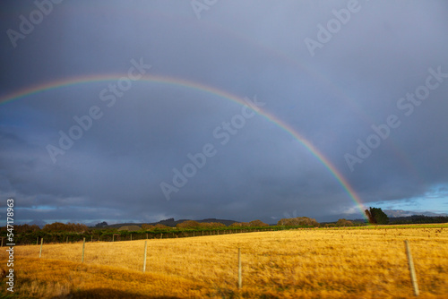 Rainbow Over Field