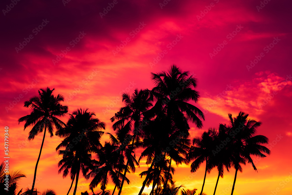 Sunset on tropical beach with coconut palm trees silhouettes
