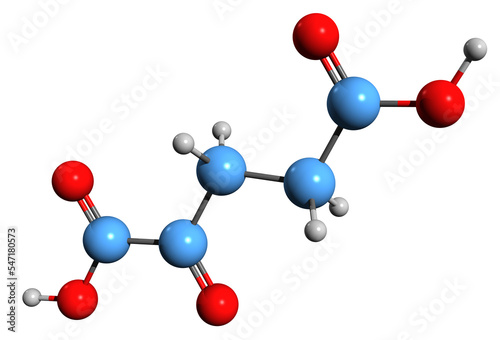  3D image of Ketoglutaric acid skeletal formula - molecular chemical structure of 2-Oxoglutaric acid isolated on white background
 photo