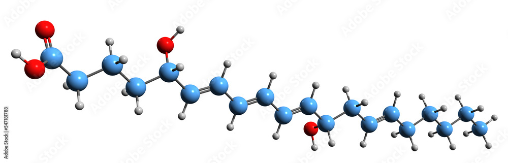 3D image of Leukotriene B4 skeletal formula - molecular chemical structure of eicosanoid inflammatory mediator isolated on white background
3D image of Leukotriene B4 skeletal formula - molecular chemical structure of eicosanoid inflammatory mediator isolated on white background