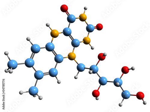  3D image of Leucoriboflavin skeletal formula - molecular chemical structure of  dietary supplement isolated on white background
 photo