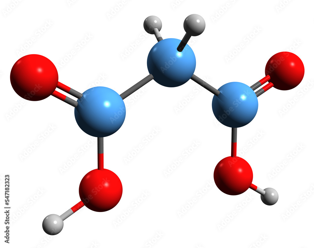 3D image of Malonic acid skeletal formula - molecular chemical structure of Methanedicarboxylic acid isolated on white background 3D image of Malonic acid skeletal formula - molecular chemical structure of Methanedicarboxylic acid isolated on white background