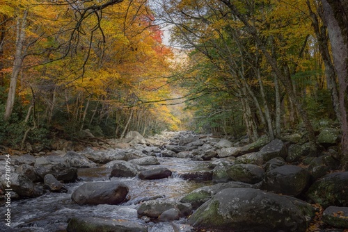Rapids along river amongst autumn forest