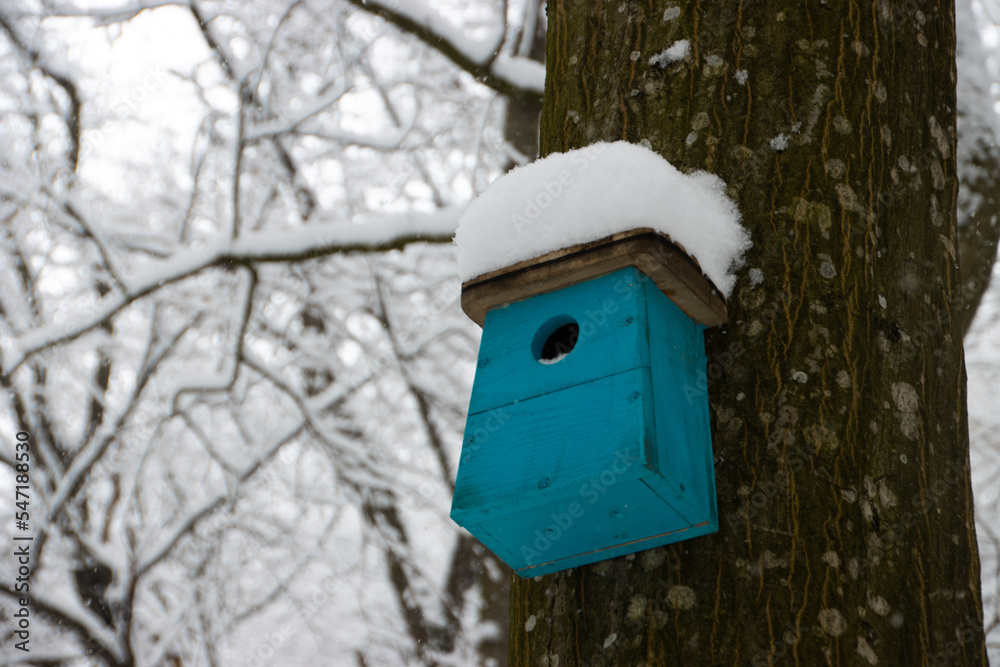 Deserted wooden blue birdhouse covered in snow. Empty birdhouse in the Trivale Forest Park, Pitesti, Arges County, Romania