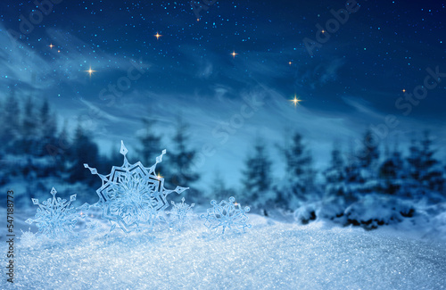 Winter holidays background with snowflakes in white snow isolated.