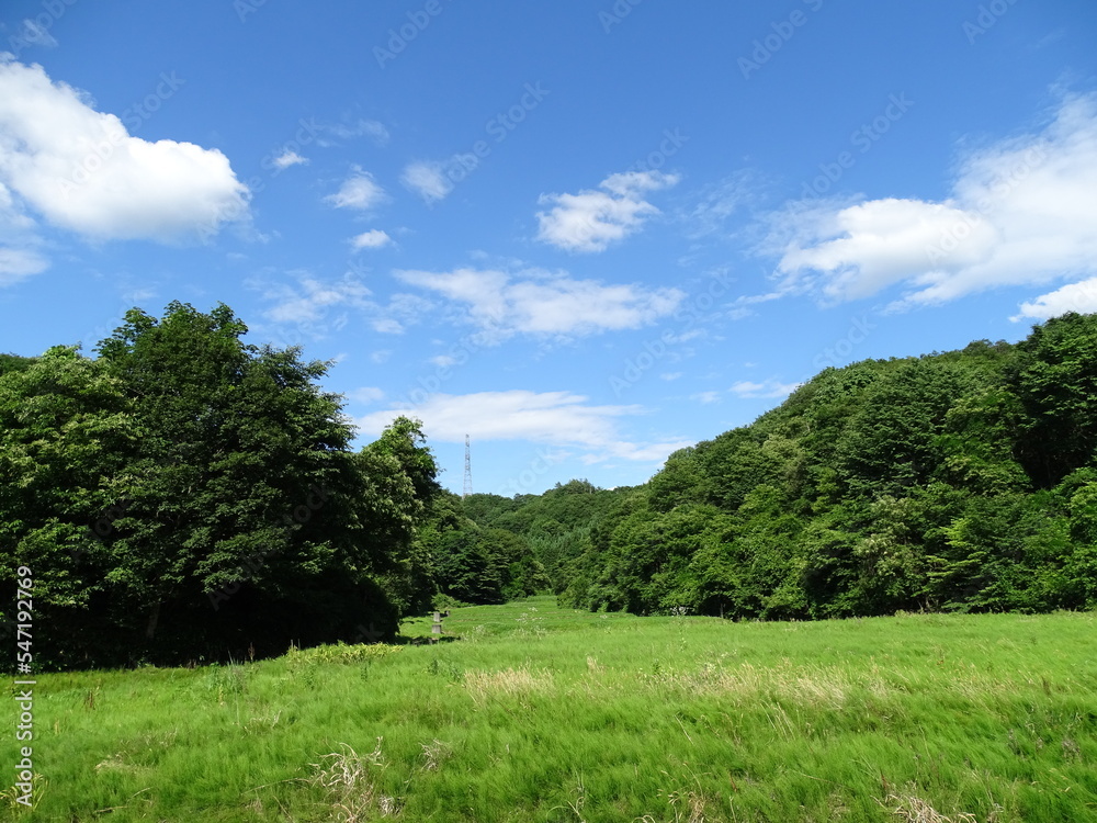 Obraz premium 耕作放棄地