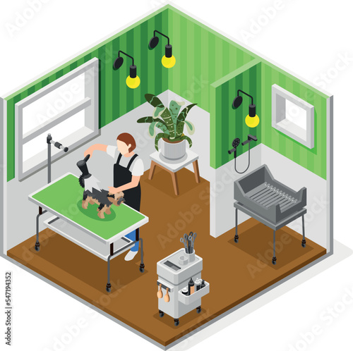 Isometric Grooming Salon Composition
